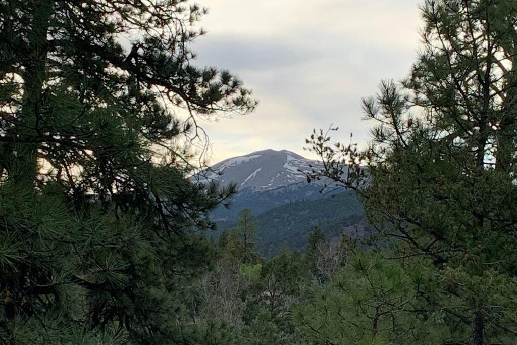 Twin Pines Casita - Big Yard, View, Porch, Hot Tub, & Charm Villa Ruidoso Exterior photo